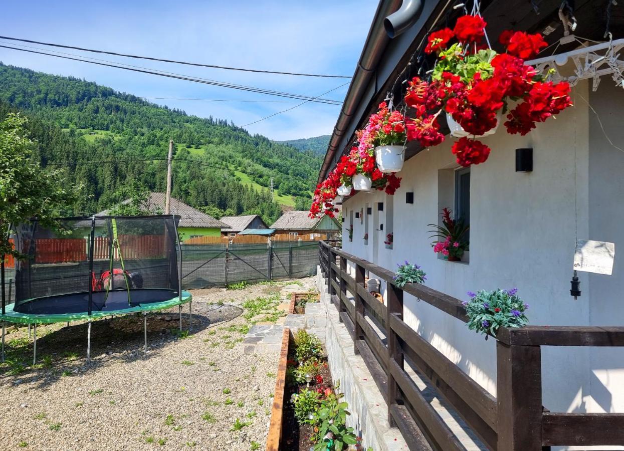 Casuta De Vacanta Poiana Poiana Teiului Exteriör bild
